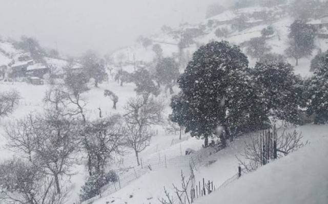 Καιρός: Το «ξαναέστρωσε» στην Εύβοια (Pics&Vid)