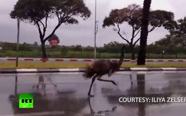 Ισραήλ: Το Εμού πήρε τους δρόμους (video)