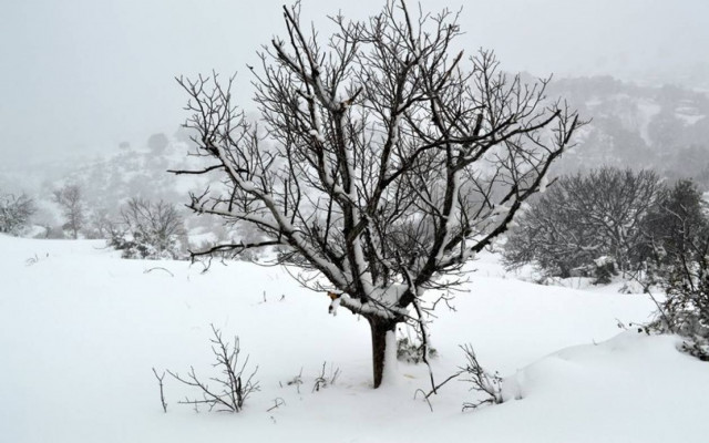 Έκτακτο δελτίο πρόγνωσης επικίνδυνων καιρικών φαινομένων