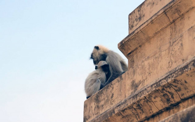 Ινδία: Χώρα μαγική και παράξενη (photos)