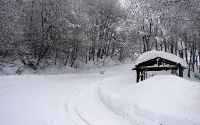 Κακοκαιρία: Ο Δήμος Βόλου βοηθά τους πολίτες