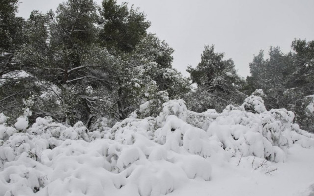 Χανιά: Γυναίκα με σπασμένο χέρι αποκλεισμένη στον Ομαλό