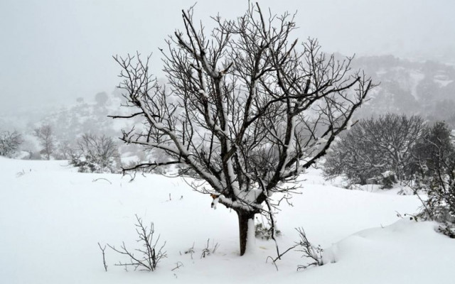 Κρήτη: Νεκρός 35χρονος λόγω της κακοκαιρίας