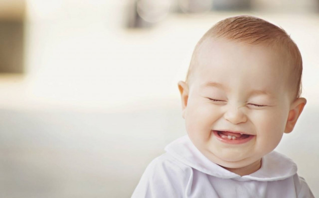 ΞΕΚΑΡΔΙΣΤΙΚΟ: Ο Τοτός σε πολυκατάστημα