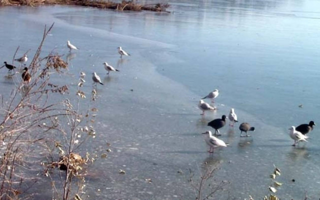 Πατινάζ στη λίμνη της Καστοριάς (Pics&Vid)