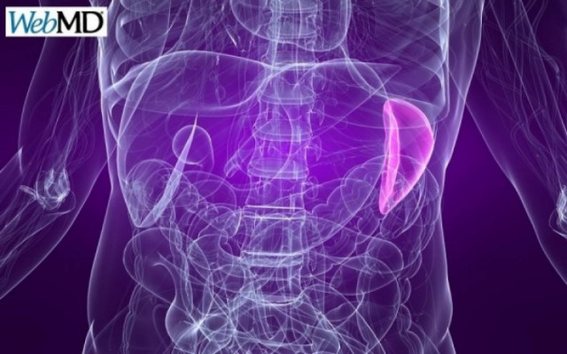 Διόγκωση σπλήνας: Ποιους σοβαρούς κινδύνους υποδηλώνει