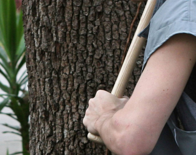 Νεαροί ξυλοκόπησαν ζευγάρι με ρόπαλο και προξένησαν φθορές σε κατάστημα