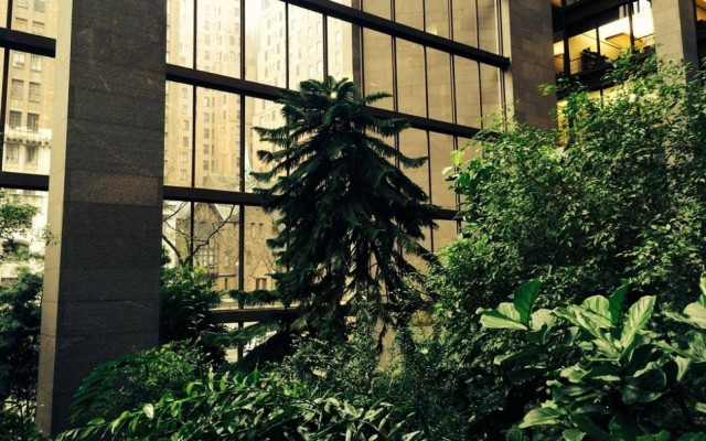 Η κρυμμένη ζούγκλα του Μανχάταν (Pics)