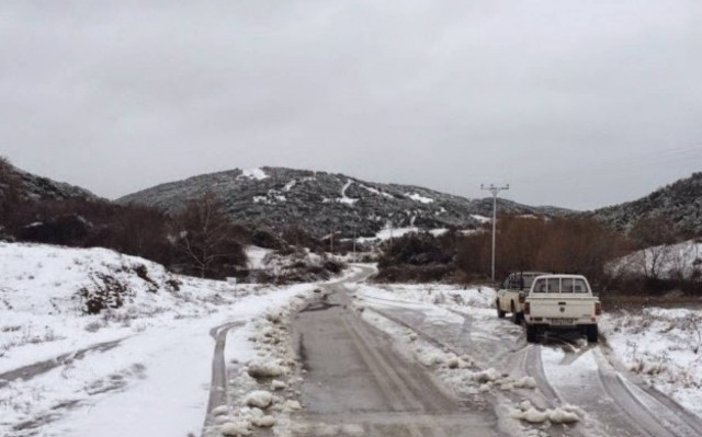 Πυκνή χιονόπτωση σε Ροδόπη και Έβρο (pics)