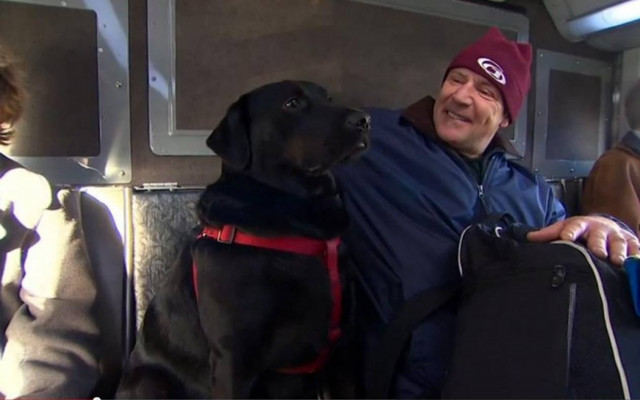 Αυτός ο σκύλος πάει στο πάρκο με λεωφορείο, μόνος του! (video)