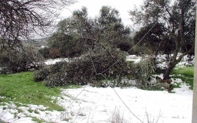 Ηράκλειο: Τι προβλέπεται για τις αποζημιώσεις λόγω κακοκαιρίας
