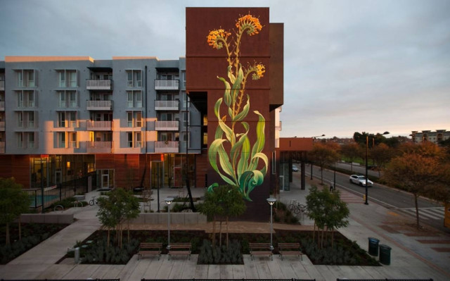 Οι σπόροι που κατέκλυσαν τις πόλεις (video)