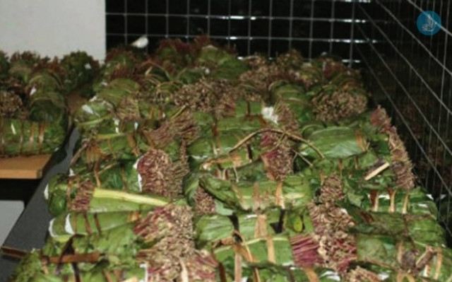 Κατασχέθηκαν στη Ρόδο 110 κιλά ναρκωτικά «ΚΗΑΤ»!