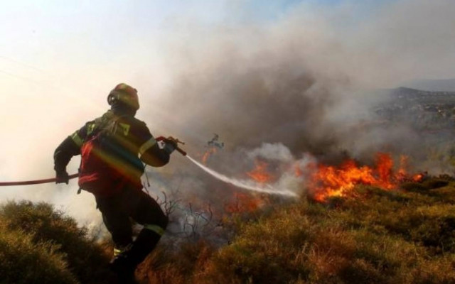 Δεκάδες φωτιές κινητοποίησαν την Πυροσβεστική χειμωνιάτικα!