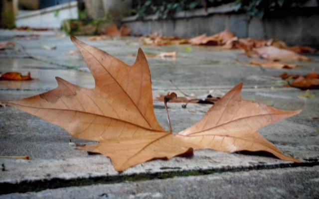 Εκλογές 2015: Με καταιγίδες και βροχές οι ψηφοφόροι στην κάλπη