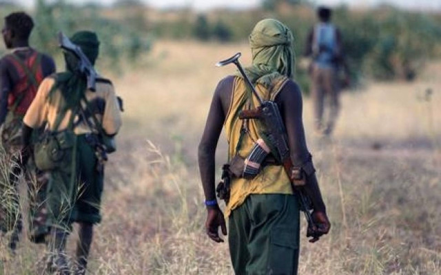 Έξι Βούλγαροι κρατούνται όμηροι από αντάρτες στο Σουδάν