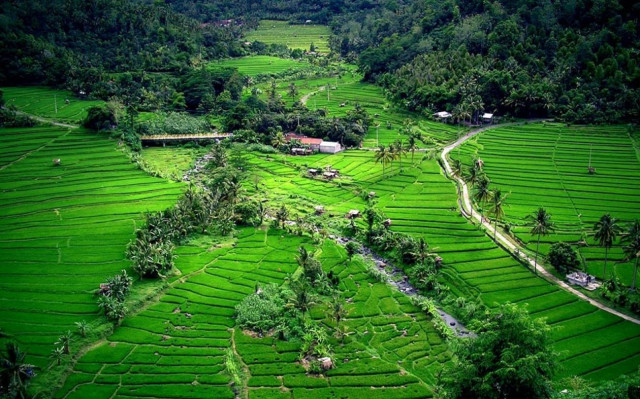 Επόμενη στάση… Μπαλί! (pics)