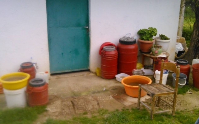 Τα ποντίκια της «έφαγαν» τα αυτιά