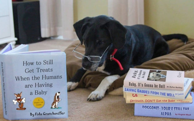 Περιμένετε παιδί; Ανακοινώστε το όπως αυτοί (photos)