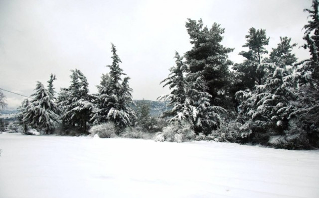 Αρνιακός στο Newsbomb: Χιόνια και στο κέντρο της Αθήνας