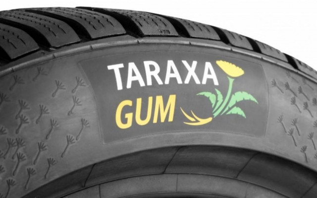 Continental: Πικραλίδα η νέα εναλλακτική πηγή φυσικού καουτσούκ (Photos)