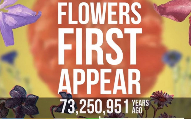 570 εκατομμύρια χρόνια εξέλιξης σε ένα λεπτό! (video)