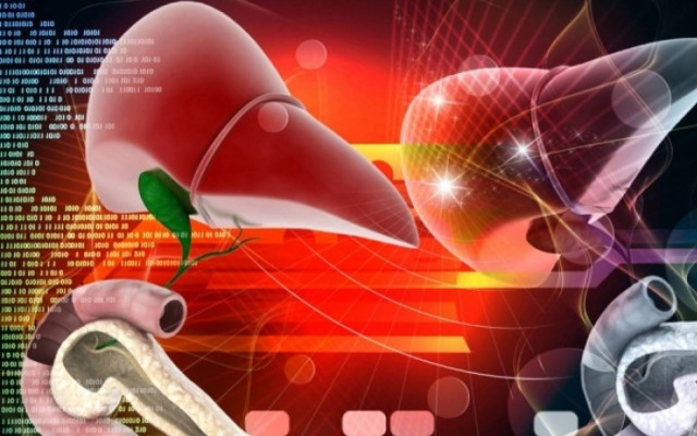 Χολική κίρρωση: Τι είναι και πώς εκδηλώνεται