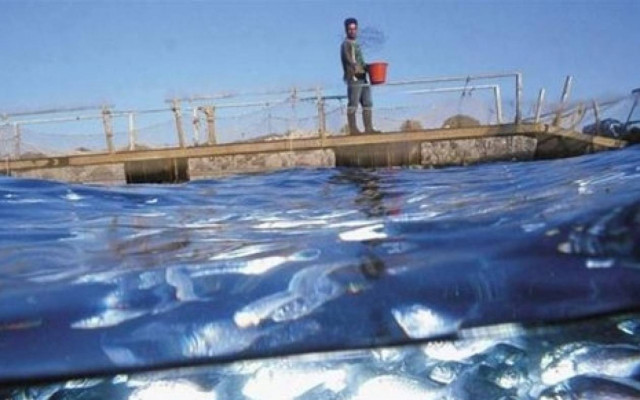 Στρατηγικός επενδυτής στην Υδατοκαλλιέργειες Γ. & Π. Μπιτσάκος