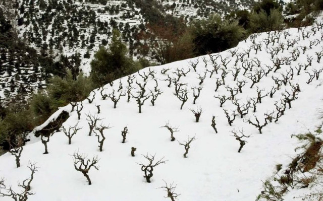 Χανιά: Στα ορεινά τα περισσότερα προβλήματα λόγω κακοκαιρίας