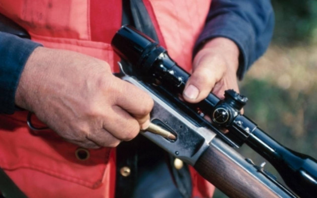 Φθιώτιδα: Πυροβόλησε σκύλο εν ψυχρώ