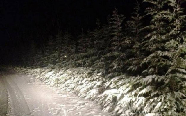 Διακοπή κυκλοφορίας σε περιοχές της Αττικής λόγω χιονόπτωσης