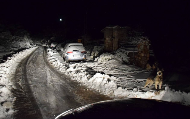 Προβλήματα από τη χιονόπτωση στην Αττική