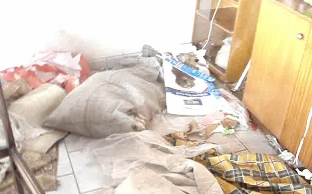 Ξάνθη: Τους «ρήμαξαν» στις ληστείες - 36 πολίτες στην Εισαγγελία (video)