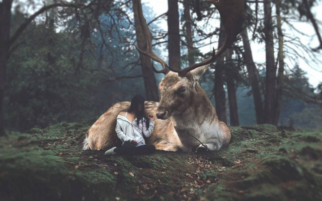 Η μαγεία των ονείρων (photos)