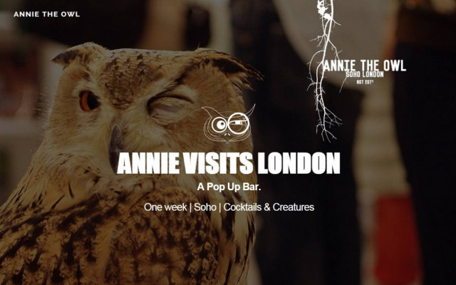 Λονδίνο: Ανοίγει μπαρ με κουκουβάγιες