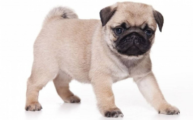 Είναι κι αυτός ένας τρόπος για να ξαλαφρώνεις! (Video)