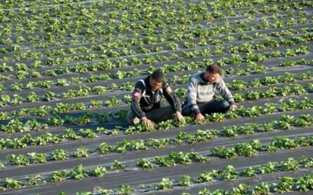 Στις 6 Απρίλη η δόση του οικογενειακού επιδόματος από τον ΟΓΑ