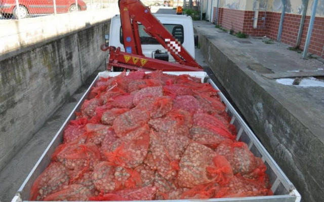 Κατάσχεση μεγάλης ποσότητας ακατάλληλων οστράκων στην Αλεξανδρούπολη