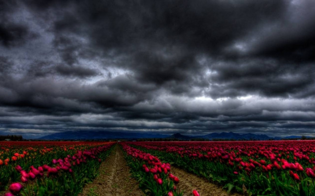 Άνοιξη γιατί τη χρειαζόμαστε (photos)