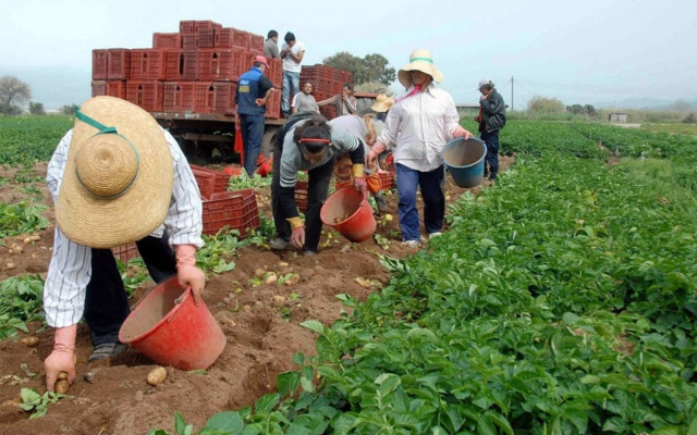 ΟΓΑ: Πότε καταβάλλονται συντάξεις και επιδόματα
