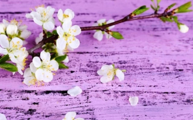 Οι τυχερές και όμορφες στιγμές της ημέρας: Σάββατο 28 Φεβρουαρίου