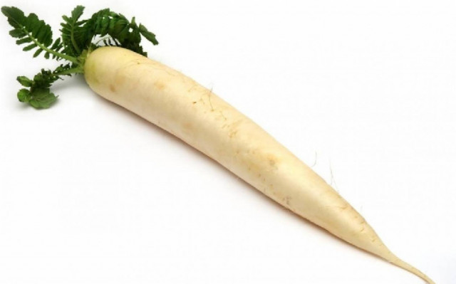 Κρήτη: Ραπανάκι… γίγας για ρεκόρ Γκίνες! (photos)