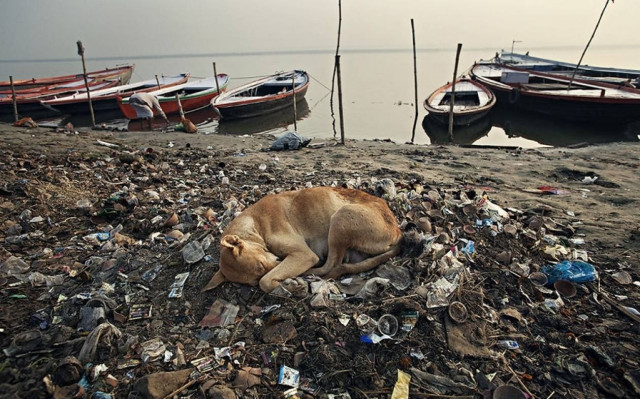 Urbanistan σημαίνει γαλήνη μέσα στη φασαρία (photos)