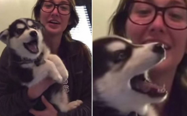 Ράμσι, το κουταβάκι που μιλά σαν… μωρό! (video)