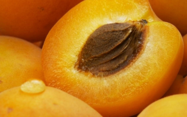 ΕΦΕΤ: Με μέτρο η κατανάλωση πικρών πυρήνων βερίκοκου και πικραμυγδάλων