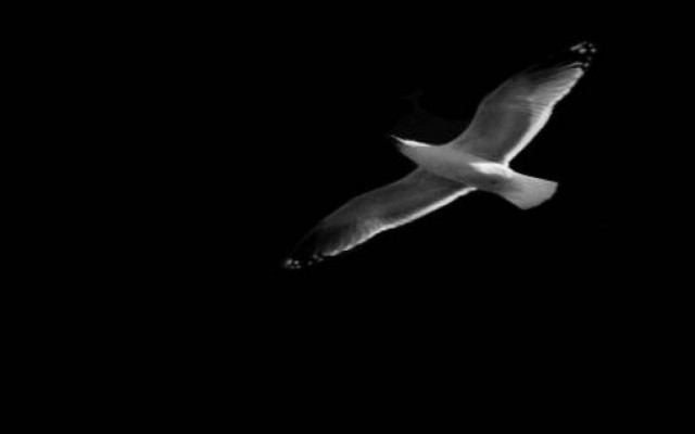 «Εφυγε» ο Αρης Βαρούνης