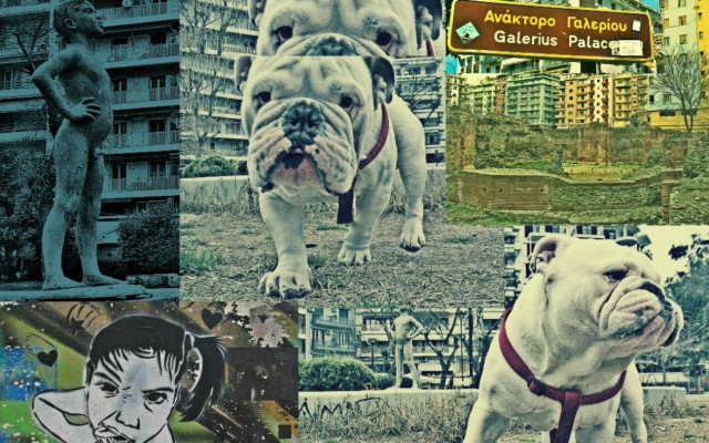 Τετράποδη... ξενάγηση στη Θεσσαλονίκη!