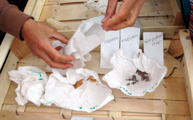 Οι παραδοσιακοί σπόροι θα αποκτήσουν «σπίτι»