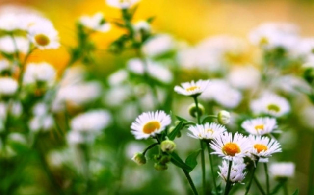 Οι τυχερές και όμορφες στιγμές της ημέρας: Σάββατο 7 Μαρτίου