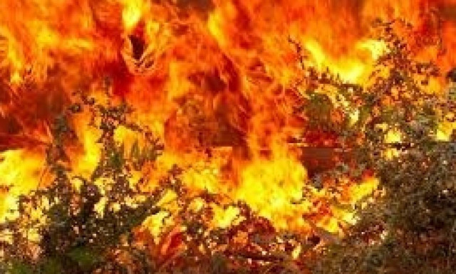 Συνάντηση εργασίας για τις δασικές πυρκαγιές